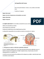 anatomia-clinica-de-craneo-y-cuello-pdf.pdf