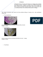 STOMATA