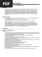 Director IT Information Technology in Tampa ST Petersburg FL Resume William Middlemas