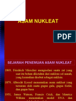 Asam Nukleat