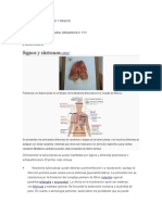 Tipos de TBC Ractivo y Pasivo