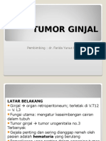 Tumor Ginjal