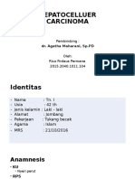 Lapsus Hepatoma New