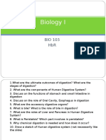 Digestive System