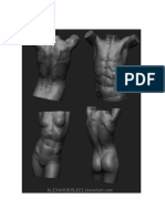 Anatomía - 3d Torso I