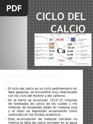 Ciclo Del Calcio Calcio Carbonato
