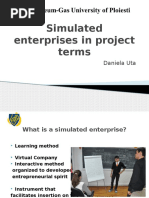 Simulated Enterprises in Project Terms