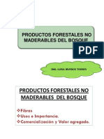 Clase 13. PFNM Fibras PDF