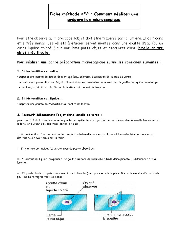 Fiche-méthode: Réaliser une préparation microscopique 
