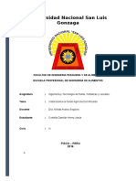 Informe Del Fundo Agrícola Don Ricardo