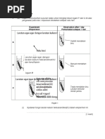 Cell as a unit  Human Body  Tissue (Biology)