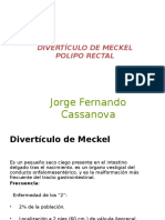 Divertículo de Meckel y Polipo Rectal - Jorge Cassanova