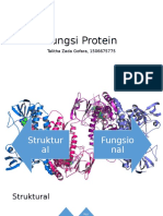Fungsi Protein