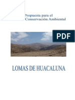 Conservación Lomas Huacaluna