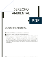 Derecho Ambiental..pptx