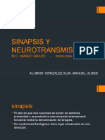 Sinapsis y Neurotransmisores