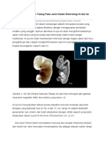 Proses Pembentukan Tulang Pada Janin Dalam Embriologi Al