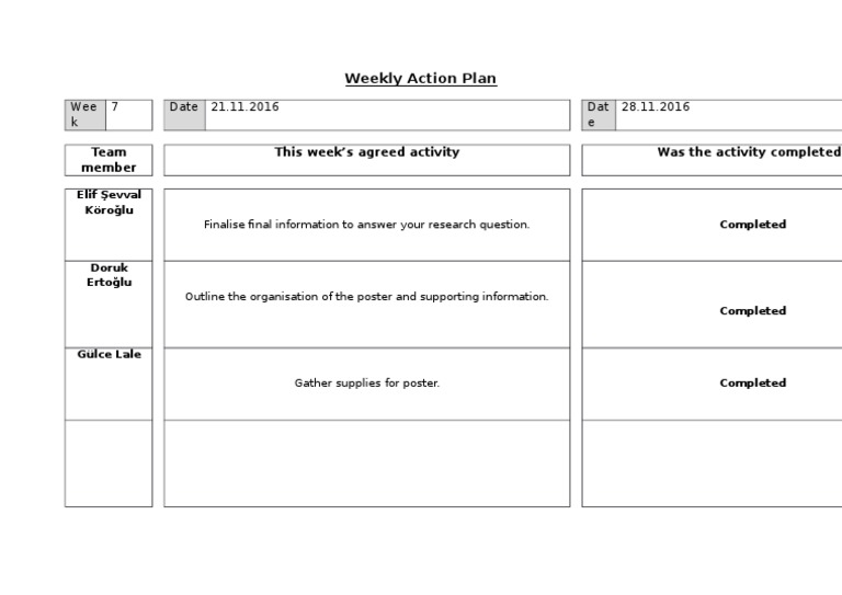 Weekly Action Plan for Team Activities | PDF