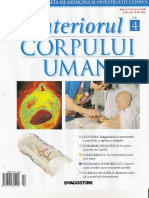 15508265-interiorul-corpului-uman-4.pdf