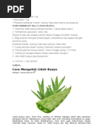 Download AGAR2 LIDAH BUAYAdocx by Heny Agustin Agustin SN332646628 doc pdf