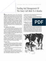Feeding and Management of The Dairy Calf - Birth To 6months