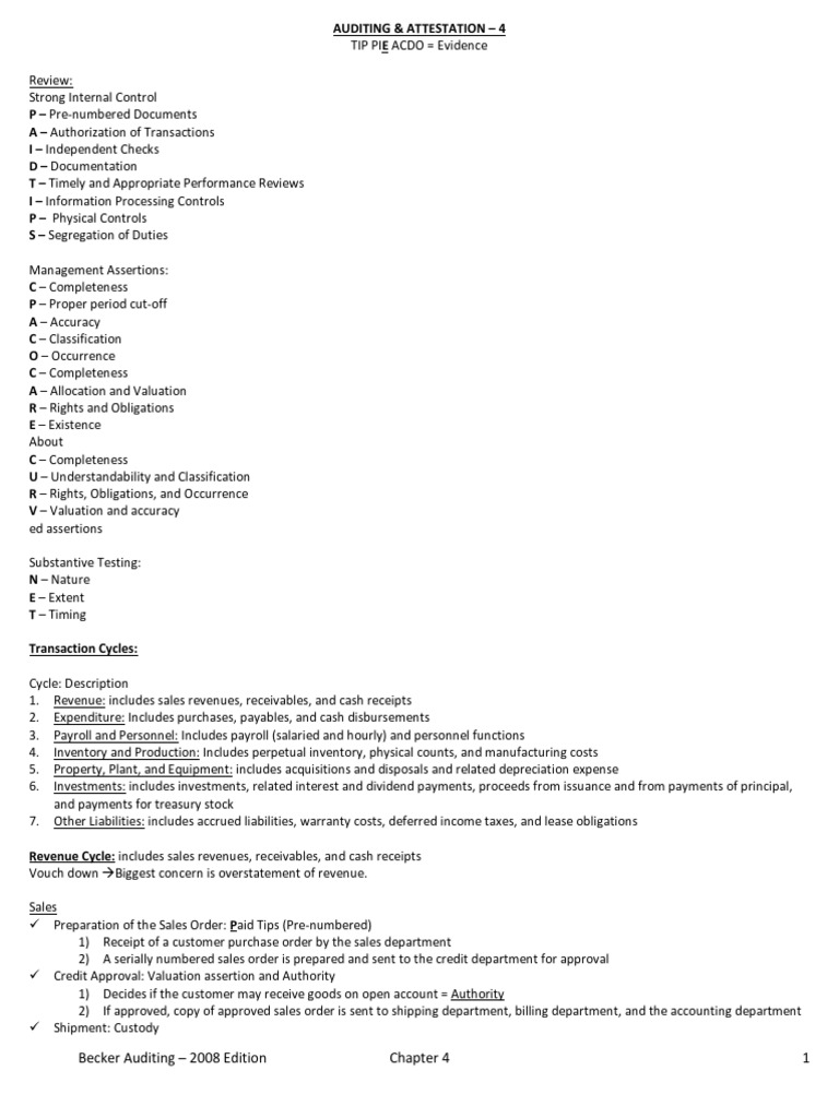 Audit risk essay image