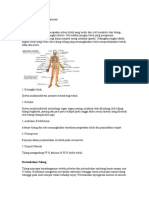 Anatomi Sistem Muskuloskeletal.doc