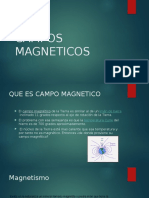 Campos Magneticos