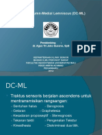 Presentasi DC-ML 