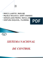 246306217 Sistema Nacional de Control