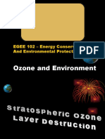 Ozone and Environment