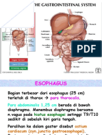 Anatomi Sal. Cerna - UNTAR