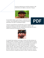 Os Índios Foram Os Primeiros Habitantes Do Território Brasileiro Vitoriaaaa