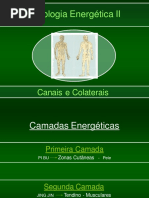 Introdução, Pi Bu e Jing Jin
