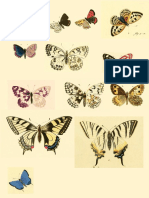 Printable Butterlflies