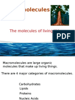 Macromolecules - Biological Molecules