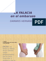 HernandezPalomares Damaris M3S3 Lafalacia