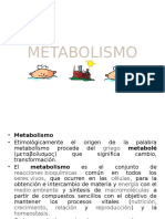 Metabolismo