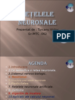 Retele Neuronale