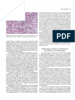 Inflamação crônica