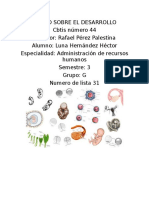 Ensayo Sobre El Desarrollo