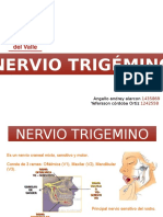 Neuroanatomía Nervio Trigemino