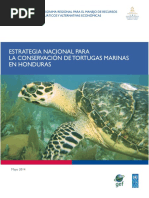 Estrategia Nacional de Tortugas Marinas DIBIO