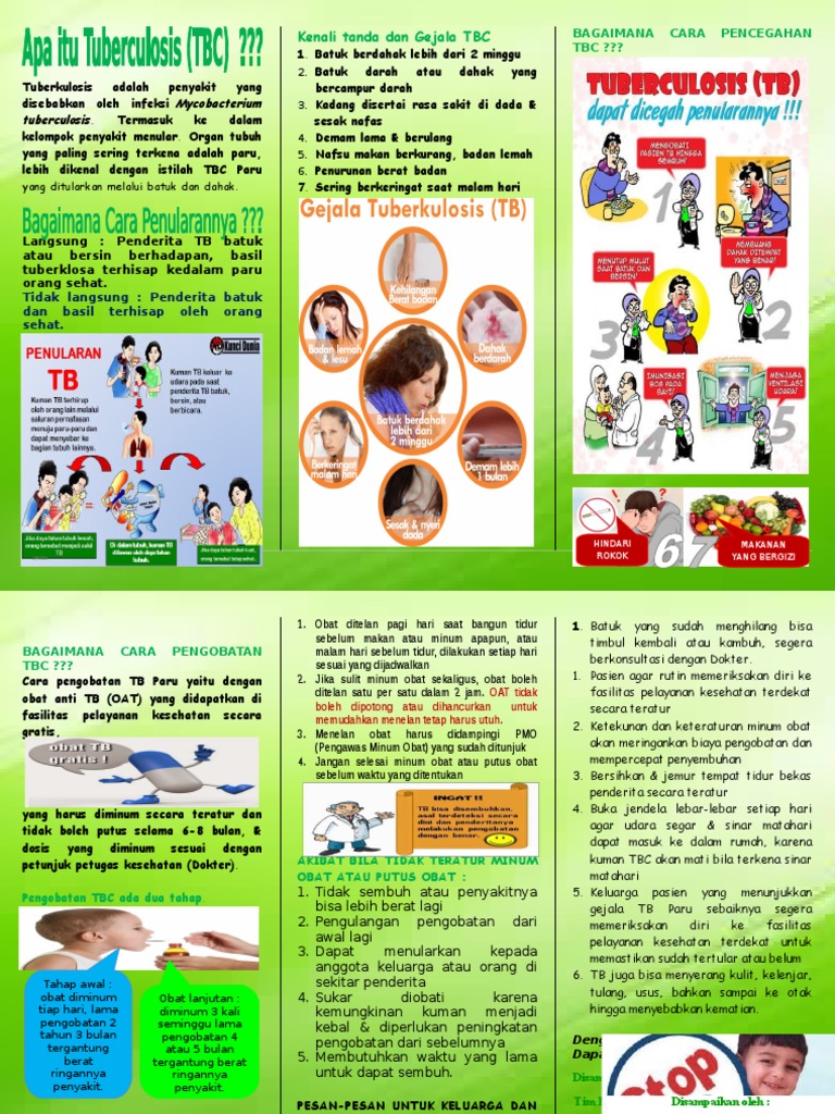 Leaflet TB Asli