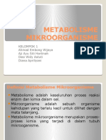PPT METABOLISME MIKROORGANISME