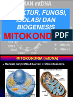 struktur , fungsi dan biogenesis Mitokondria