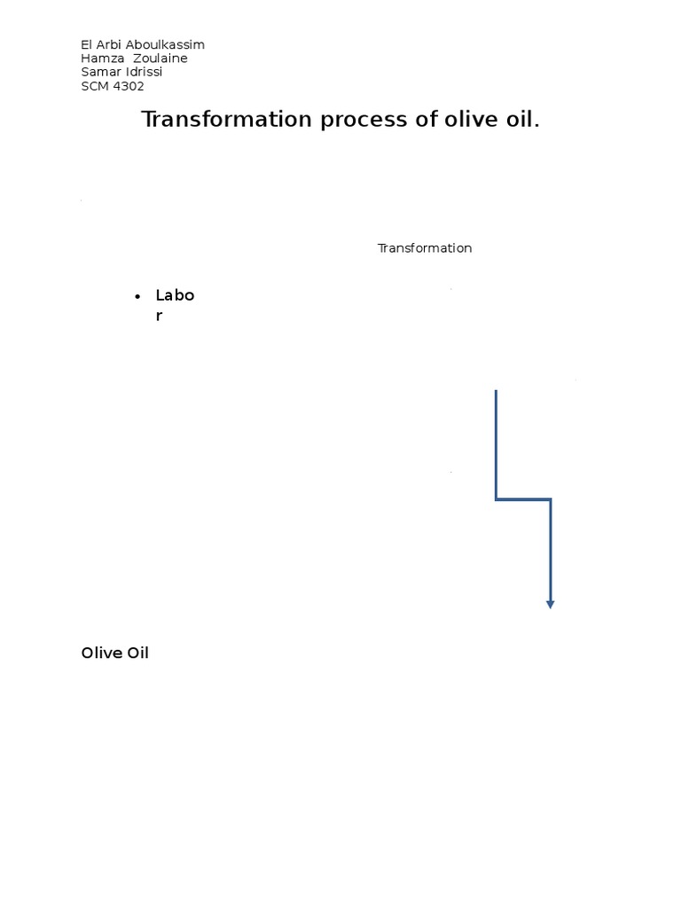 Olive Oil Transformation Process Explained | PDF