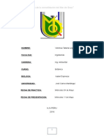 INFORME-TALLOSs-1 (1) - copia