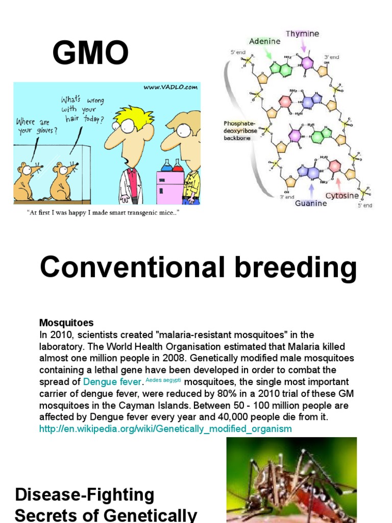 Conventional breeding