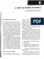 Ciclo Vital Da Família Brasileira